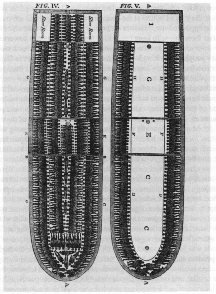 440pxslave_ship_diagram