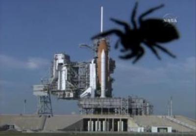 Spidershuttle