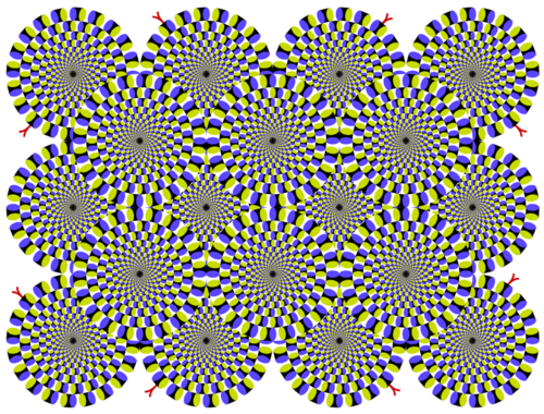 Rotsnake9