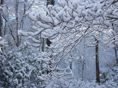 Snowy_valentine_003_2