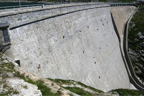 Small_dam goats1