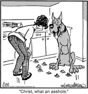 Asshole_marmaduke
