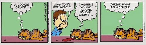 Asshole_garfield