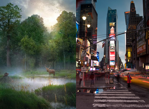 Timessq
