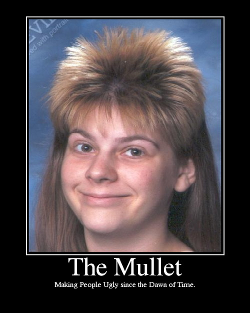 TheMullet