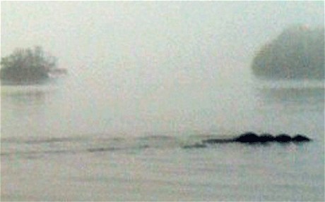 Nessie_1829159c