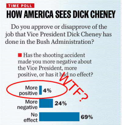 Poll_cheney_3