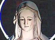Bleedingmary