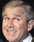 Bushgrin