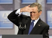 Bushshieldeyes